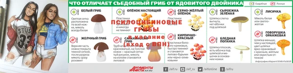PSILOCYBIN Верхнеуральск