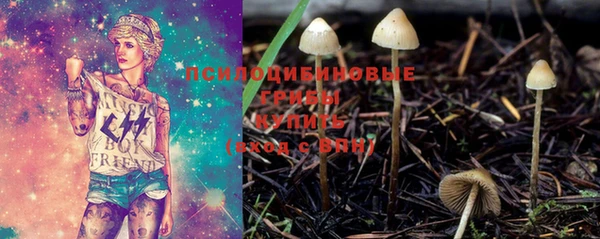 крисы Вяземский