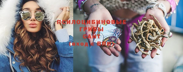 дурь Вязьма