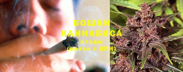 крисы Вяземский