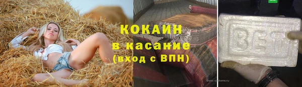 ГАЛЛЮЦИНОГЕННЫЕ ГРИБЫ Вязники